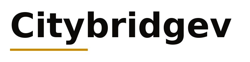 Citybridgev logo